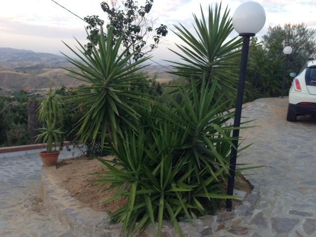 B&B Profumi Di Sicilia San Cataldo (Sicily) Exterior foto